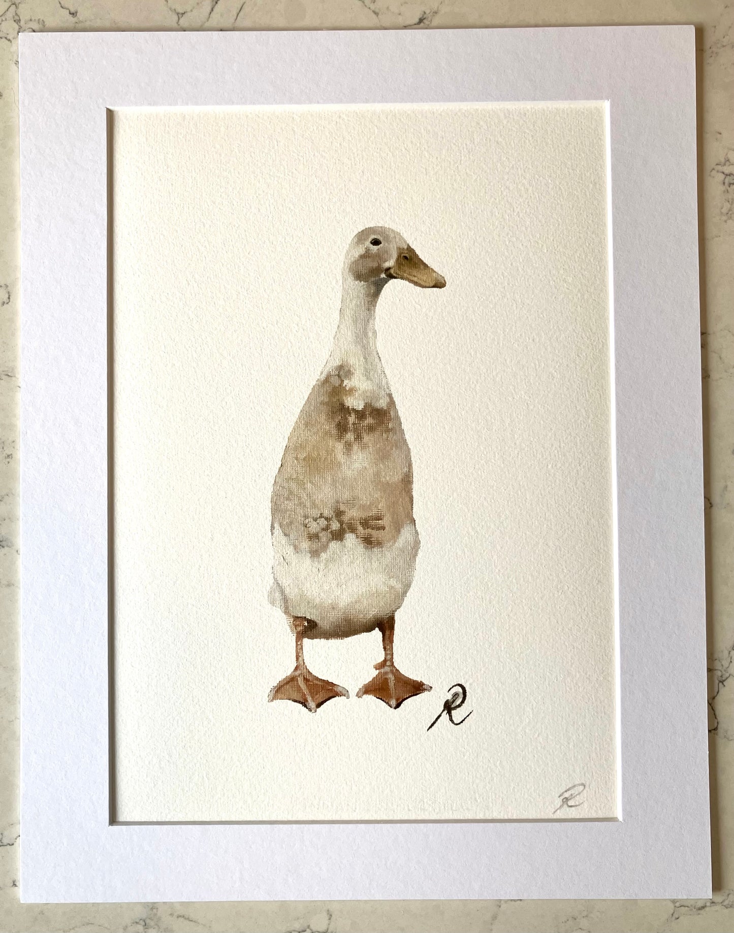 ‘Indian runner duck’ print