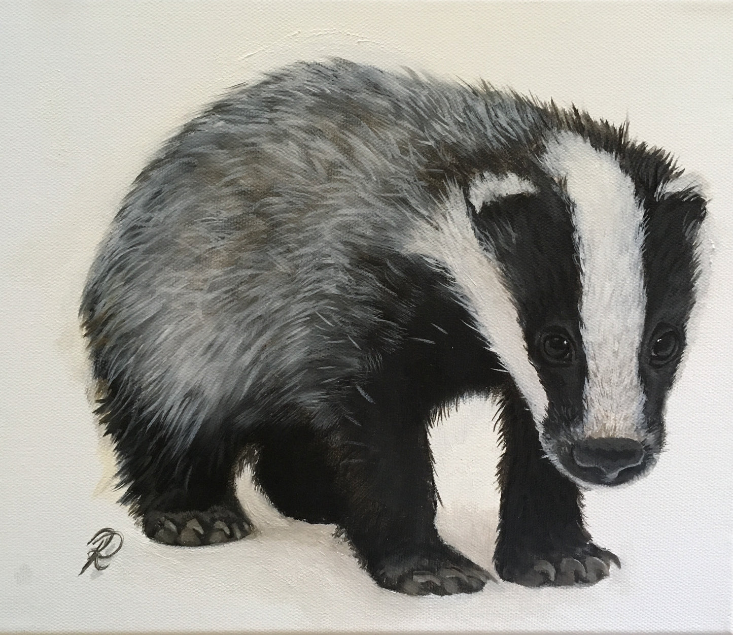 ‘Badger’ Greetings card
