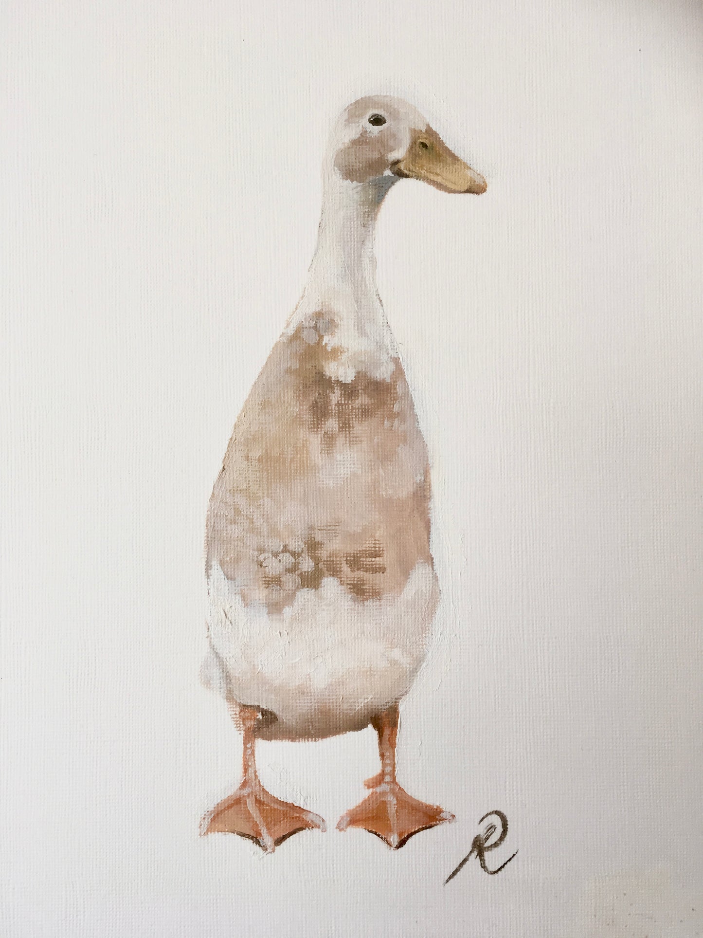 ‘Indian runner duck’ print