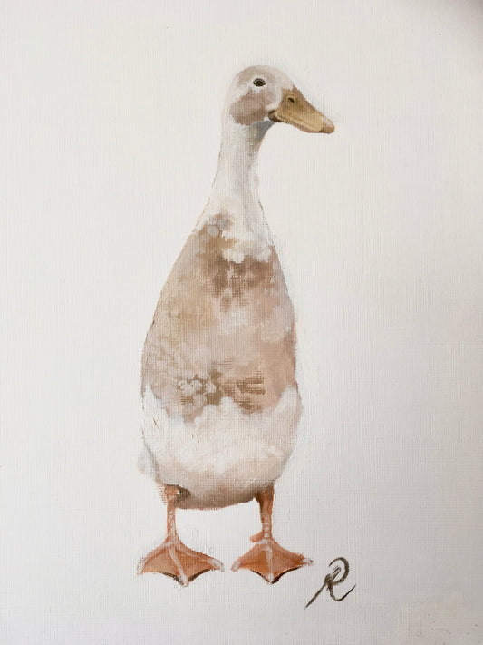 ‘Indian runner duck’ print