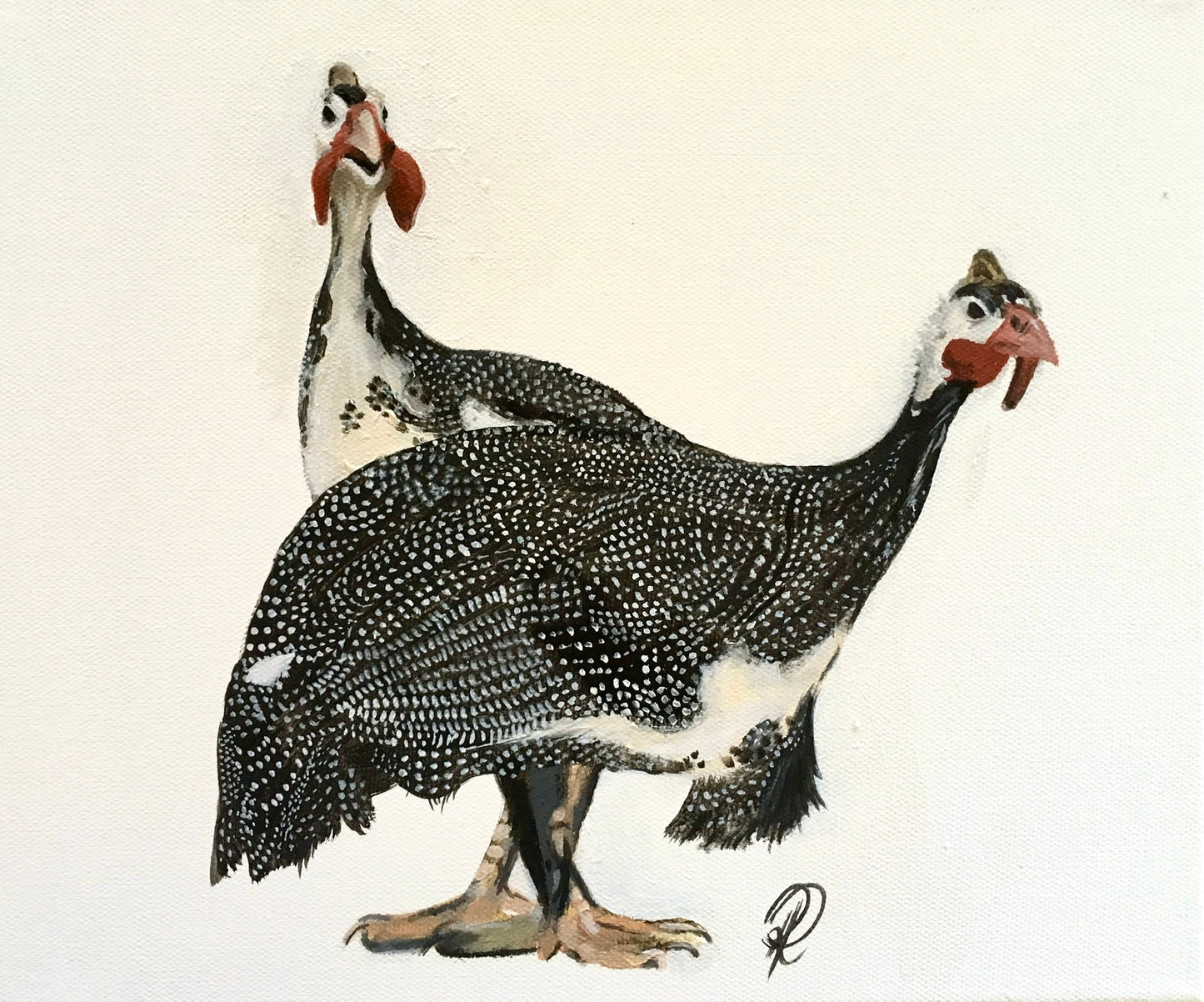 ‘A pair of Guinea Fowl’ print