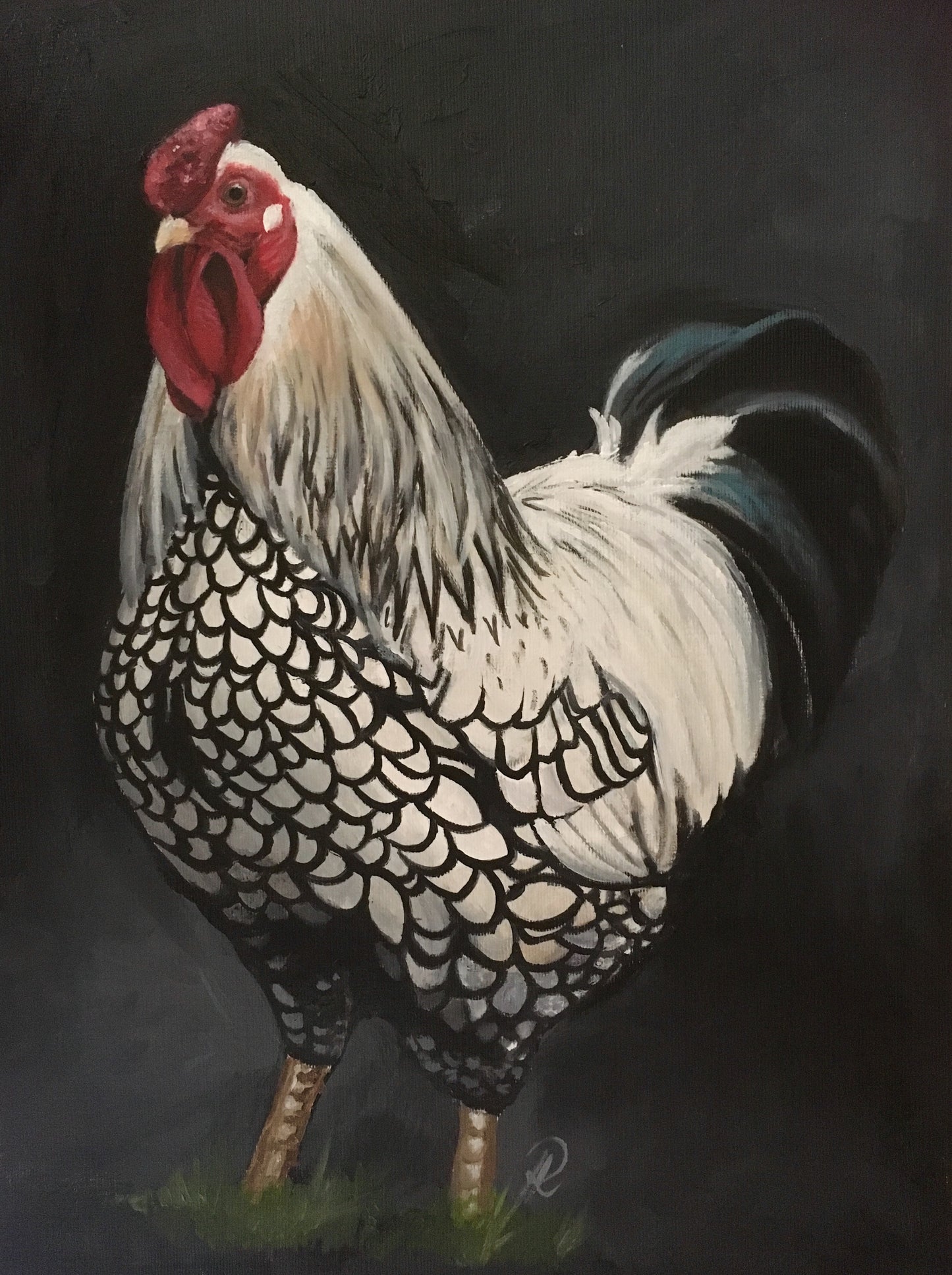 ‘Wyandotte Cockerel’ Greetings card