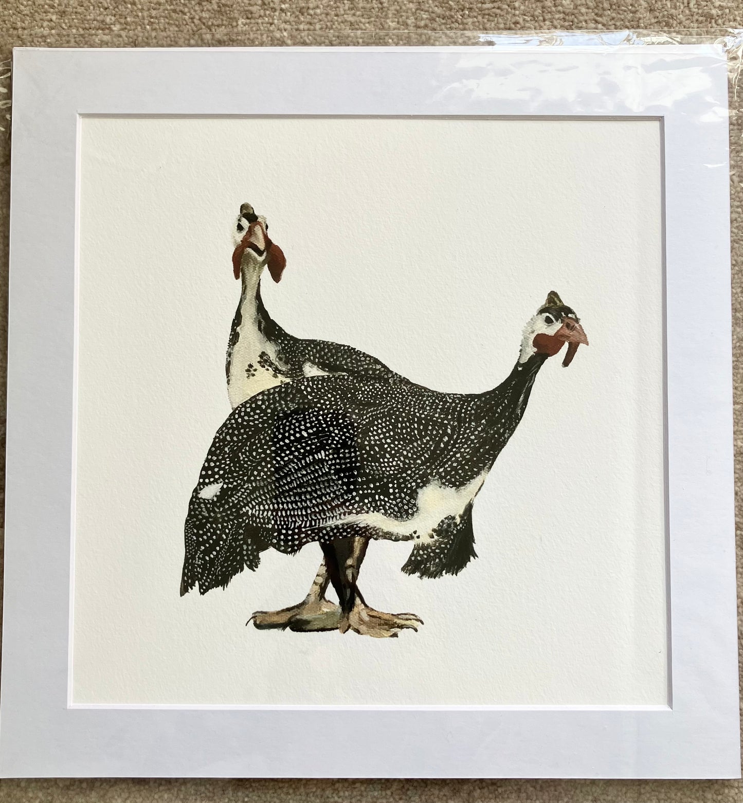 ‘A pair of Guinea Fowl’ print