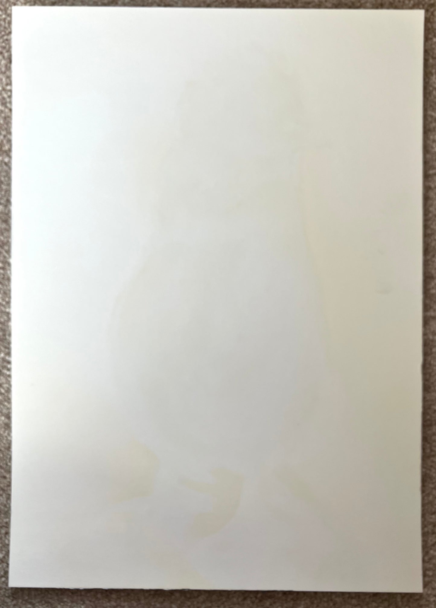 ‘Brown and black Poland’ original