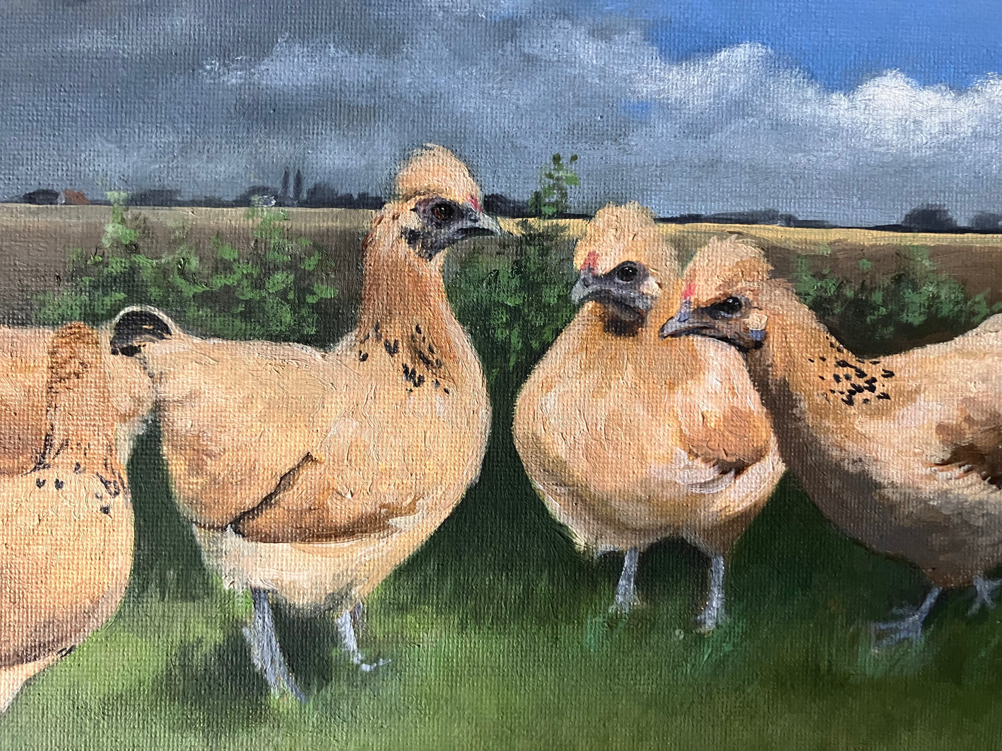 ‘Goldtop bantam hens’ original
