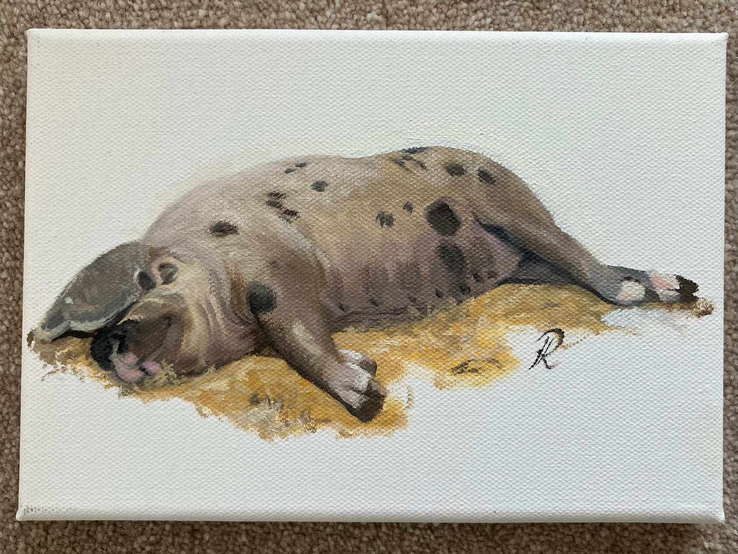 ‘Snoozing Sandy and Black’ original