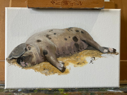 ‘Snoozing Sandy and Black’ original