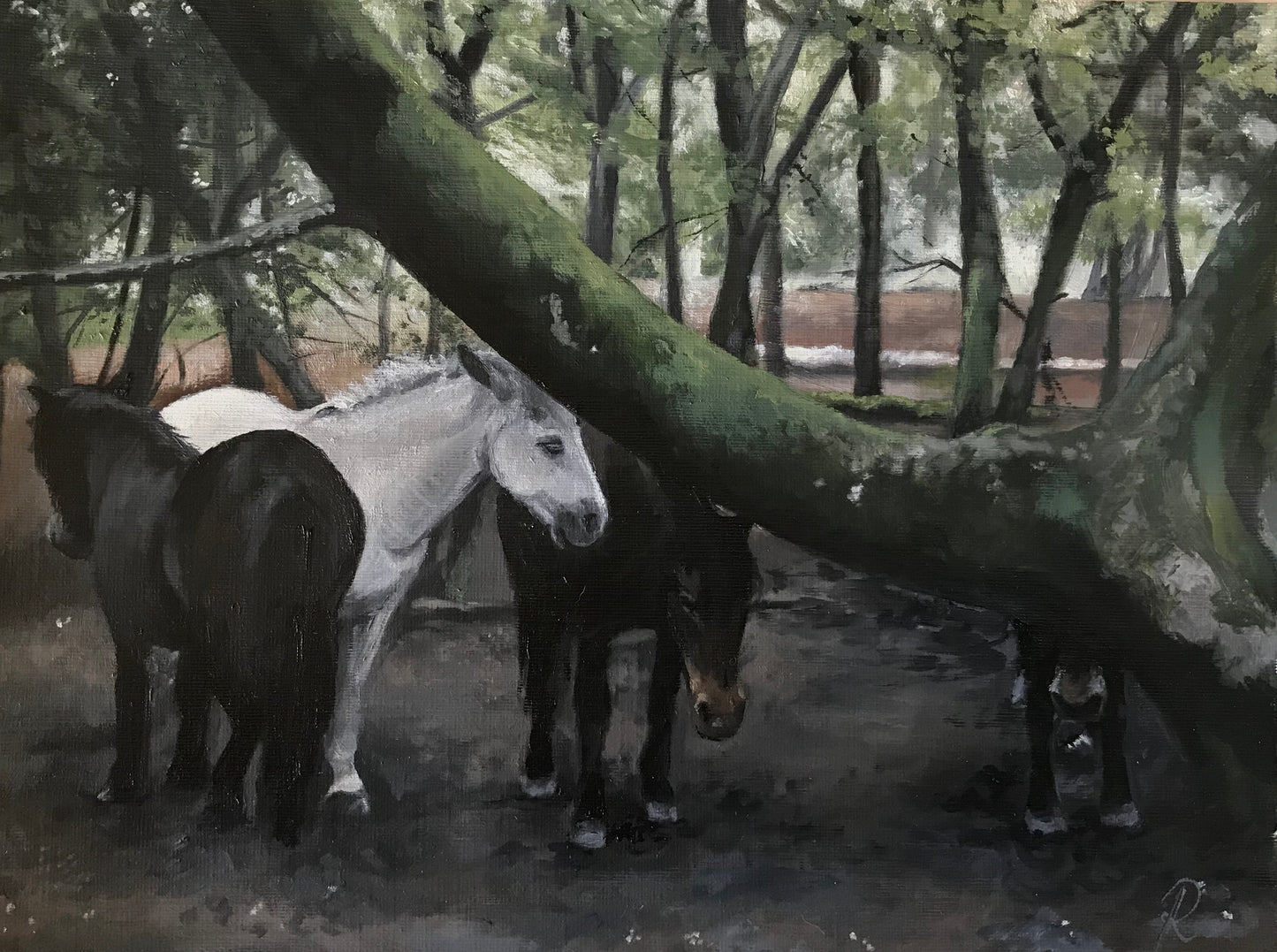 ‘Ponies resting in the shade at Thorncombe wood’ original