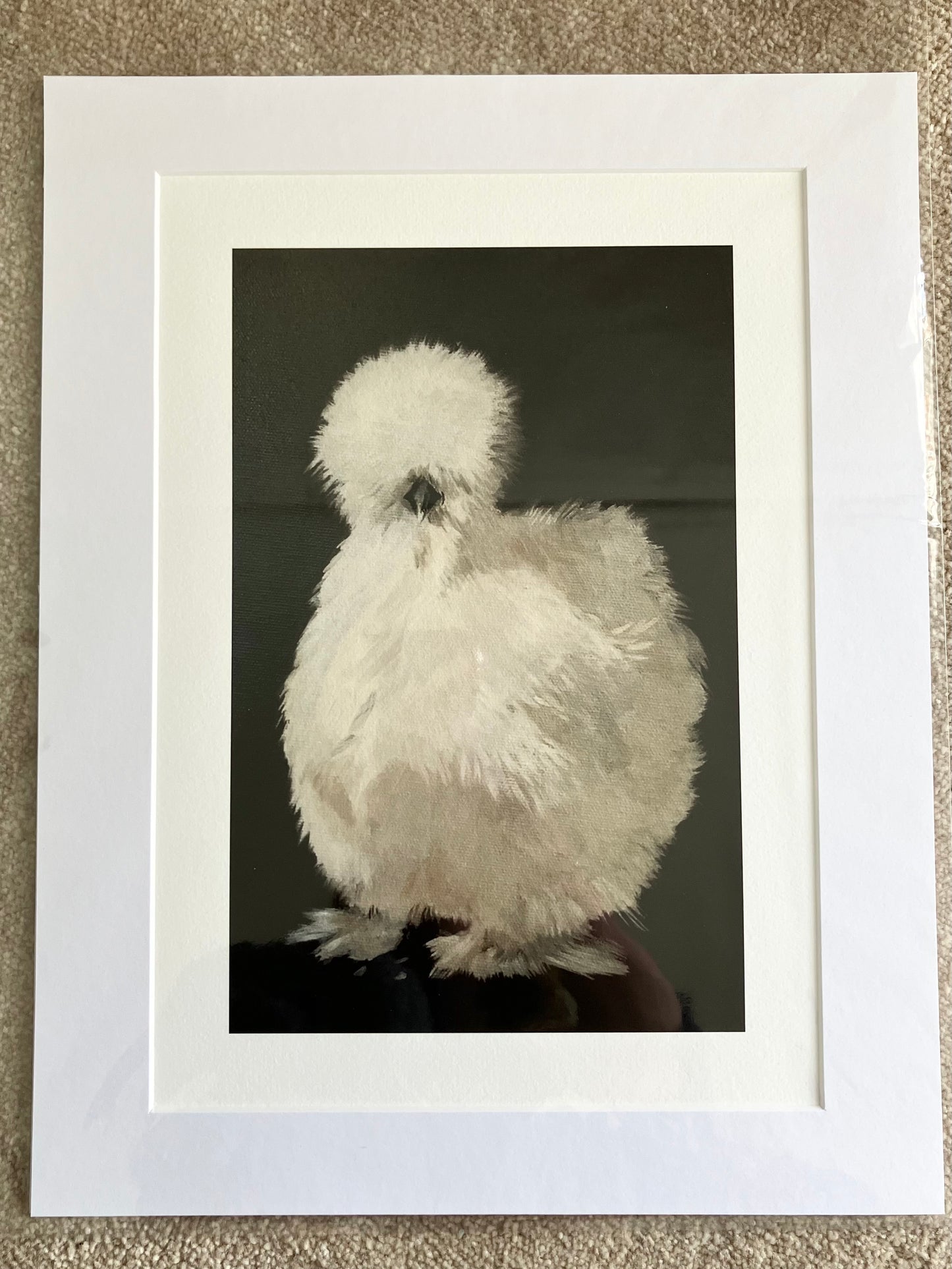 ‘Silkie bantam’ print