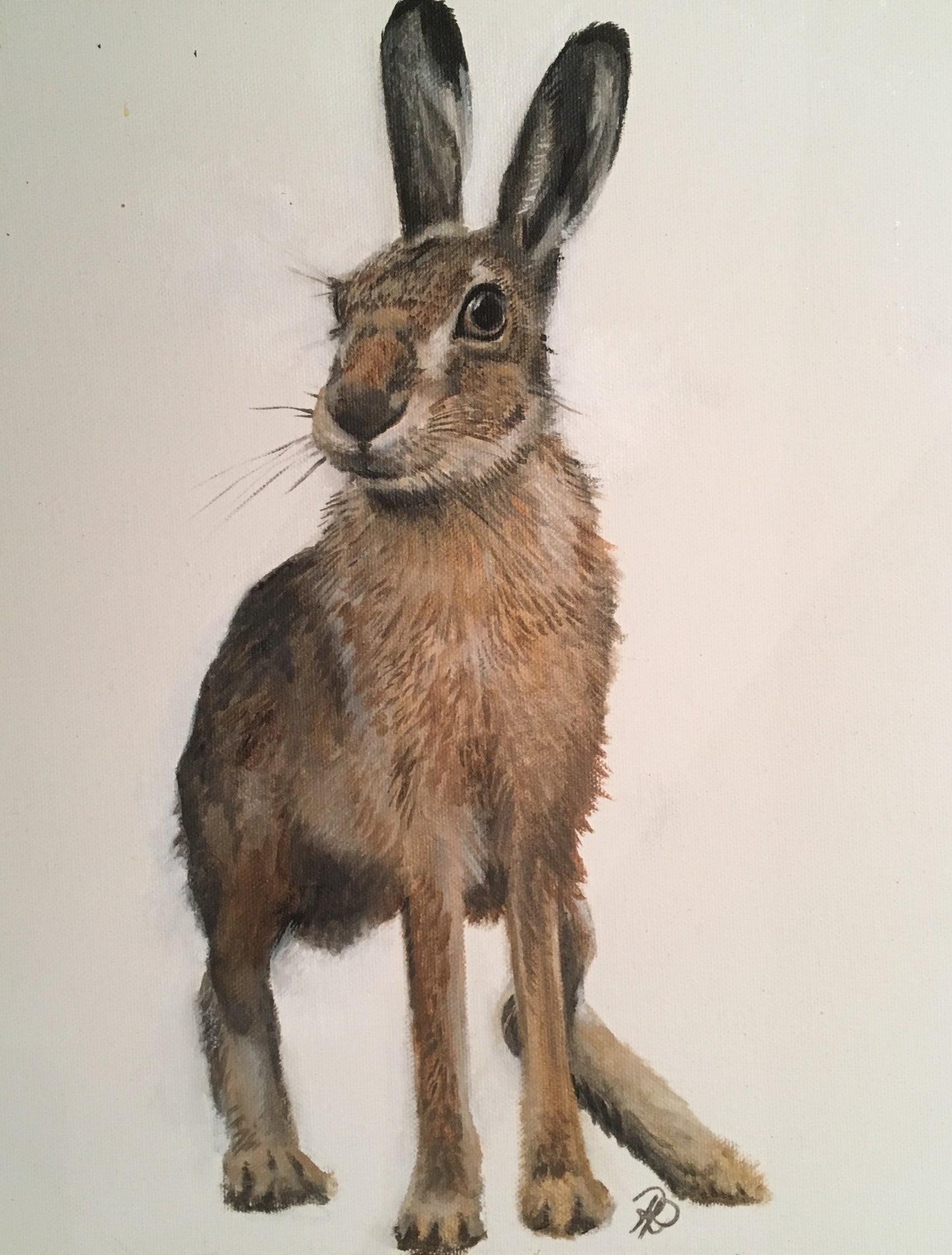 ‘March Hare’ Greetings card